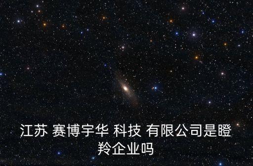 江蘇 賽博宇華 科技 有限公司是瞪羚企業嗎