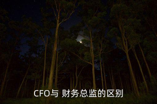 CFO與 財務總監的區別