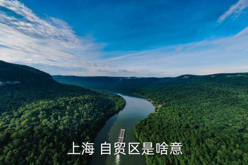 上海自貿區到底是什么