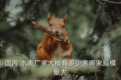 國內 水表廠家大概有多少家哪家規模最大