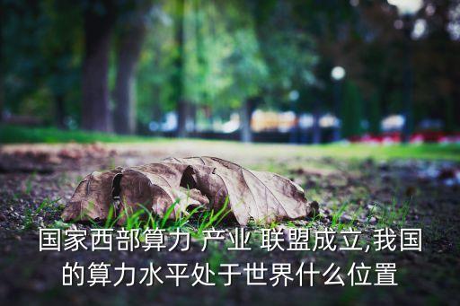 國家西部算力 產業(yè) 聯(lián)盟成立,我國的算力水平處于世界什么位置