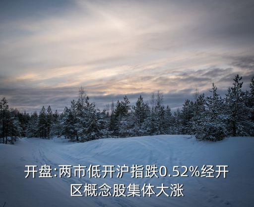 開盤:兩市低開滬指跌0.52%經開區概念股集體大漲