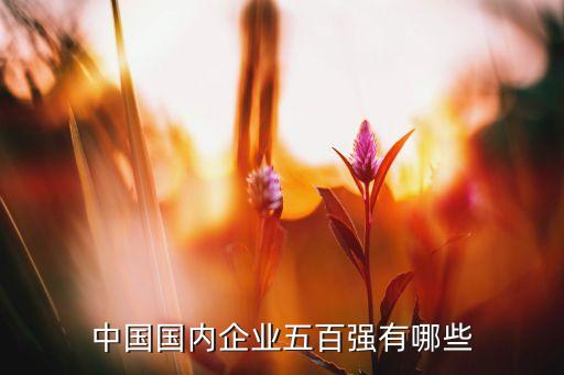 中國國內企業五百強有哪些