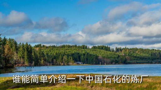 滄州化學工業股份有限公司,心連心化學工業集團股份有限公司