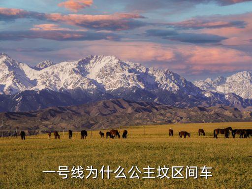  一號線為什么公主墳區間車