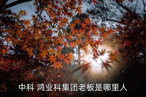 中科 鴻業科集團老板是哪里人