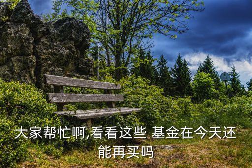 大家幫忙啊,看看這些 基金在今天還能再買嗎