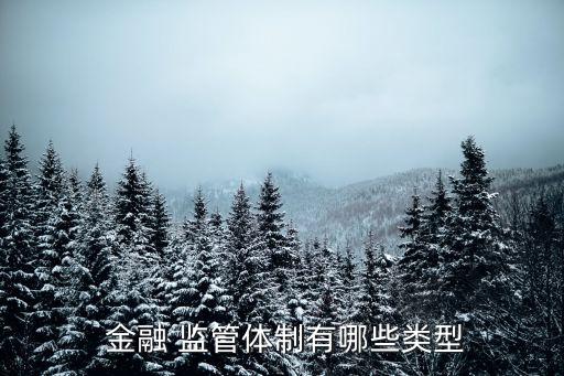  金融 監管體制有哪些類型