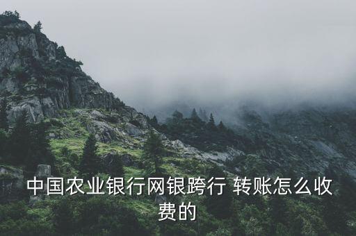  中國農業銀行網銀跨行 轉賬怎么收費的
