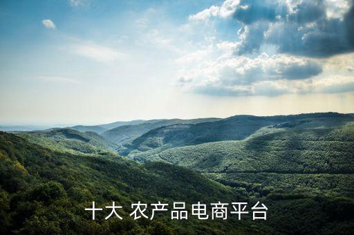 十大 農產品電商平臺