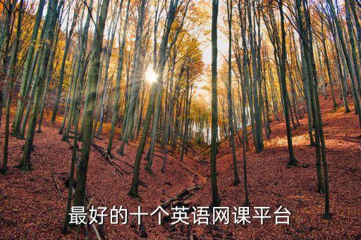 最好的十個英語網課平臺