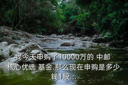 我今天申購了10000萬的 中郵 核心優選 基金.那么現在申購是多少錢1股...