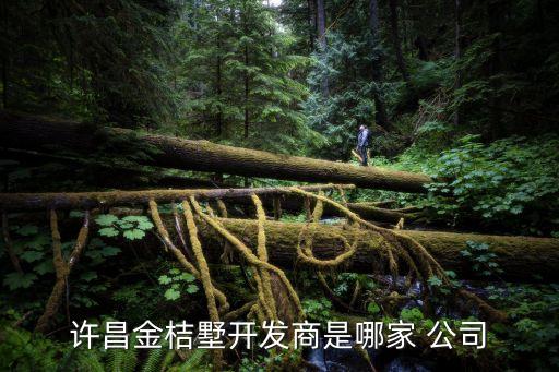 許昌金桔墅開發商是哪家 公司