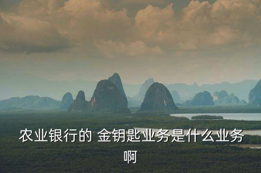 農業銀行傳世之寶金鑰匙