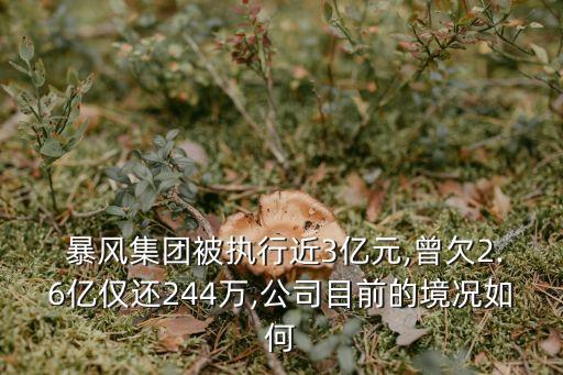  暴風集團被執行近3億元,曾欠2.6億僅還244萬,公司目前的境況如何