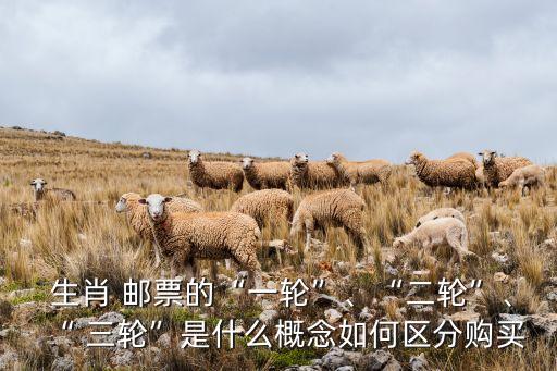  生肖 郵票的“一輪”、“二輪”、“ 三輪”是什么概念如何區分購買