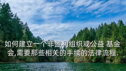 如何建立一個非盈利組織或公益 基金會,需要那些相關的手續的法律流程...