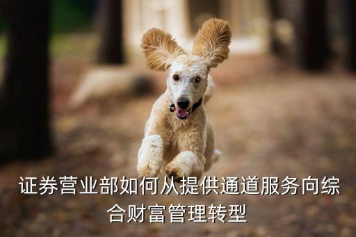  證券營業部如何從提供通道服務向綜合財富管理轉型
