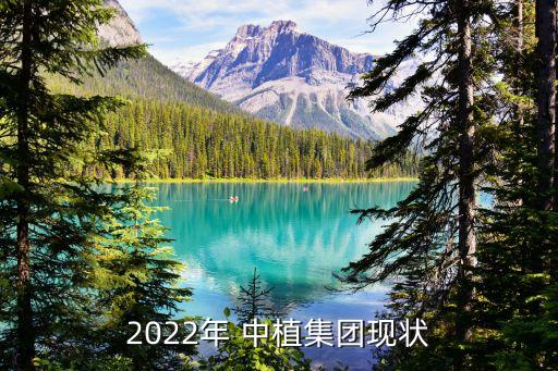 中植產業投資有限公司,中植國際投資控股集團有限公司