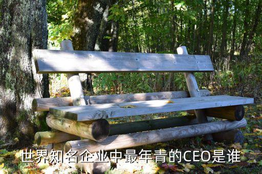 世界知名企業中最年青的CEO是誰