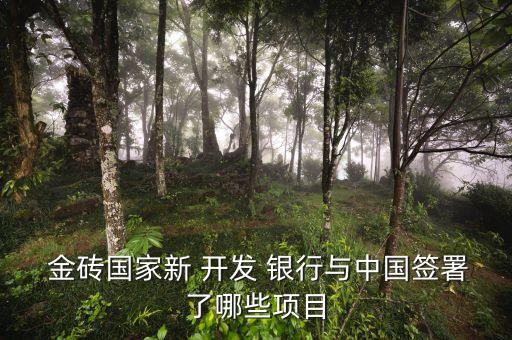  金磚國家新 開發 銀行與中國簽署了哪些項目