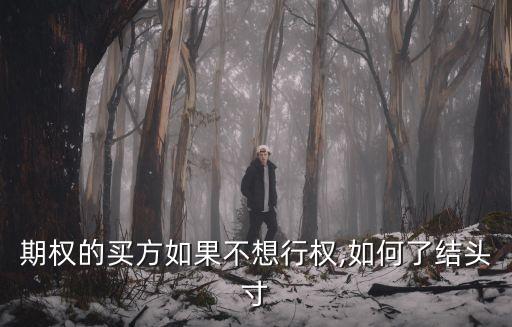 中國的第一只股票,中國第一只工業股票