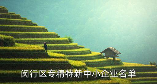 閔行區專精特新中小企業名單