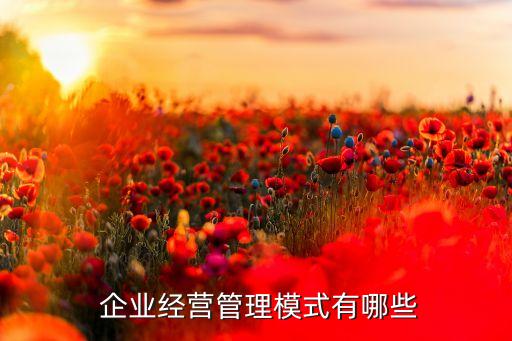  企業經營管理模式有哪些