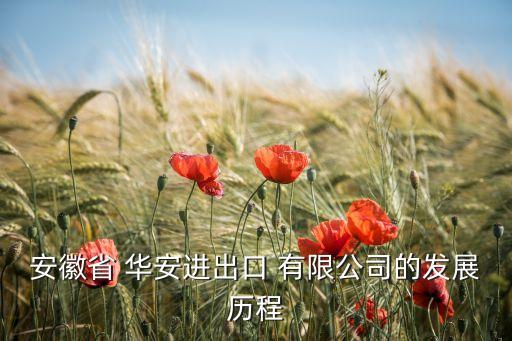 安徽省 華安進出口 有限公司的發展歷程