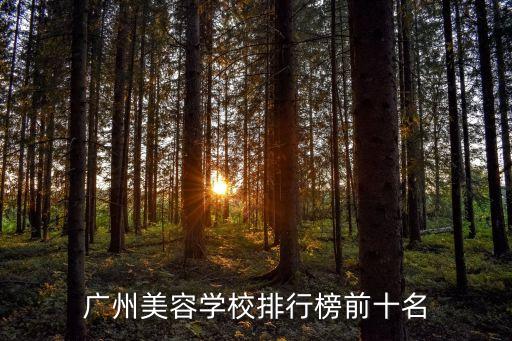 廣興華實業總公司
