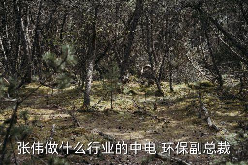中電加美環?？萍脊煞萦邢薰?安徽中電環?？萍脊煞萦邢薰?/></a></span><span id=