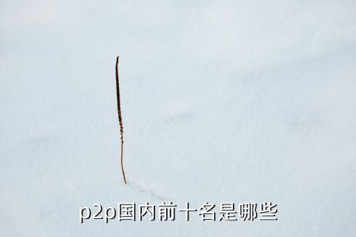p2p國內前十名是哪些