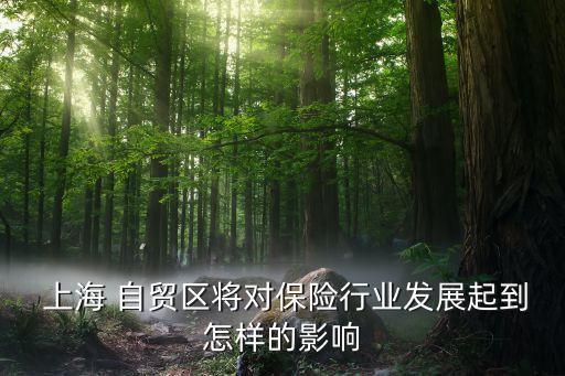 上海自貿區離岸金融政策規定