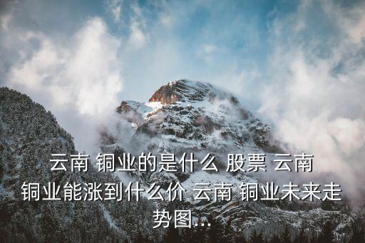  云南 銅業的是什么 股票 云南 銅業能漲到什么價 云南 銅業未來走勢圖...