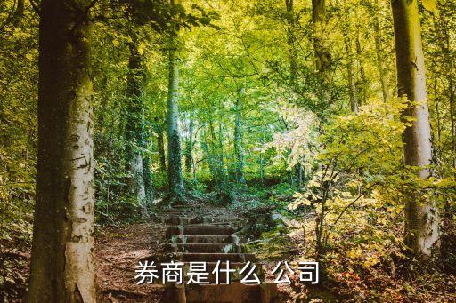 證券公司業務范圍
