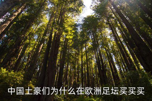 中國土豪們為什么在歐洲足壇買買買
