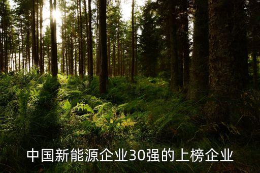 中國新能源企業30強的上榜企業