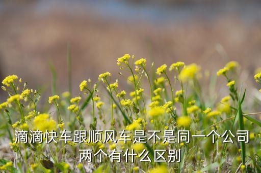  滴滴快車跟順風車是不是同一個公司兩個有什么區別