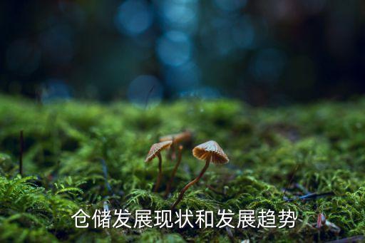  倉儲(chǔ)發(fā)展現(xiàn)狀和發(fā)展趨勢