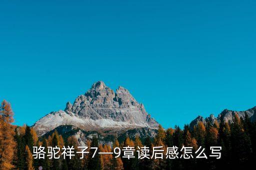 祥熙投資,澤熙投資正規嗎