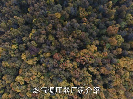 燃氣調壓器廠家介紹