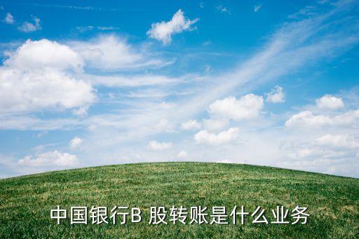 中國銀行B 股轉賬是什么業務