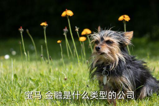 上海創富汽車金融,上海東正汽車金融正規嗎