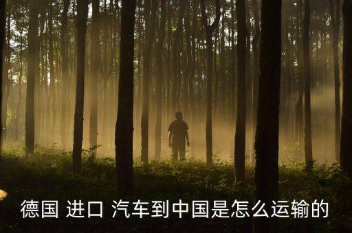 德國 進口 汽車到中國是怎么運輸的