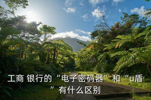 工商 銀行的“電子密碼器”和“u盾”有什么區別