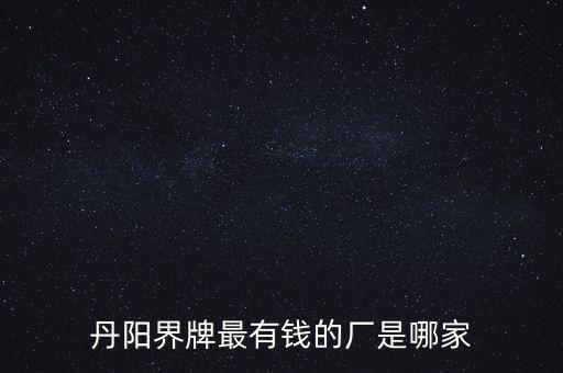 丹陽(yáng)界牌最有錢的廠是哪家