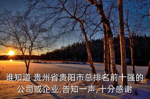 誰知道 貴州省貴陽市總排名前十強的公司或企業,告知一聲,十分感謝