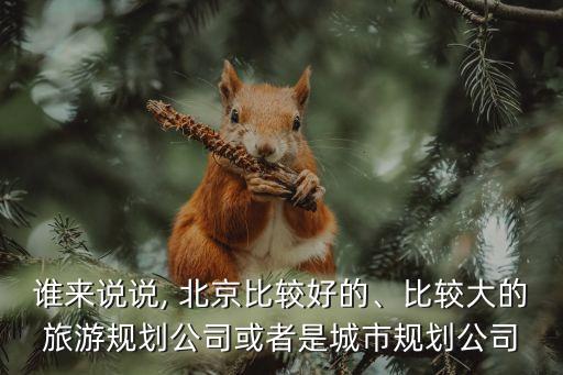 誰來說說, 北京比較好的、比較大的旅游規劃公司或者是城市規劃公司