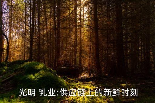 光明乳業股份有限公司2013年年報