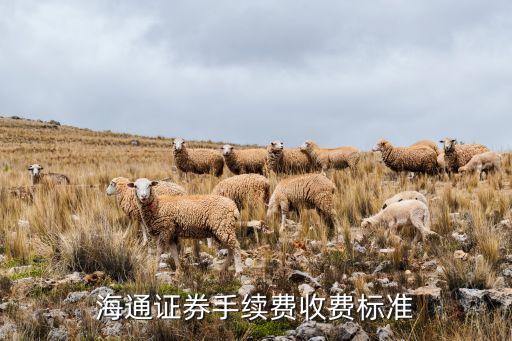 上海商海通網絡科技有限公司,上海出海通網絡科技...